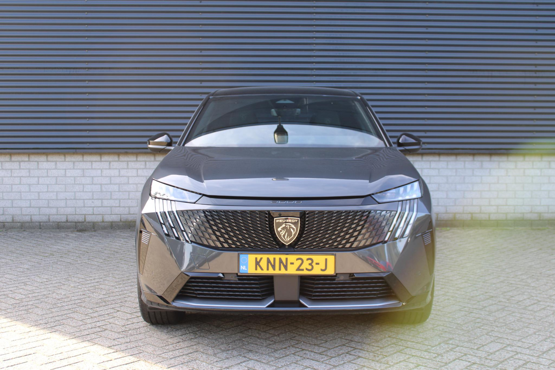 Peugeot e-3008