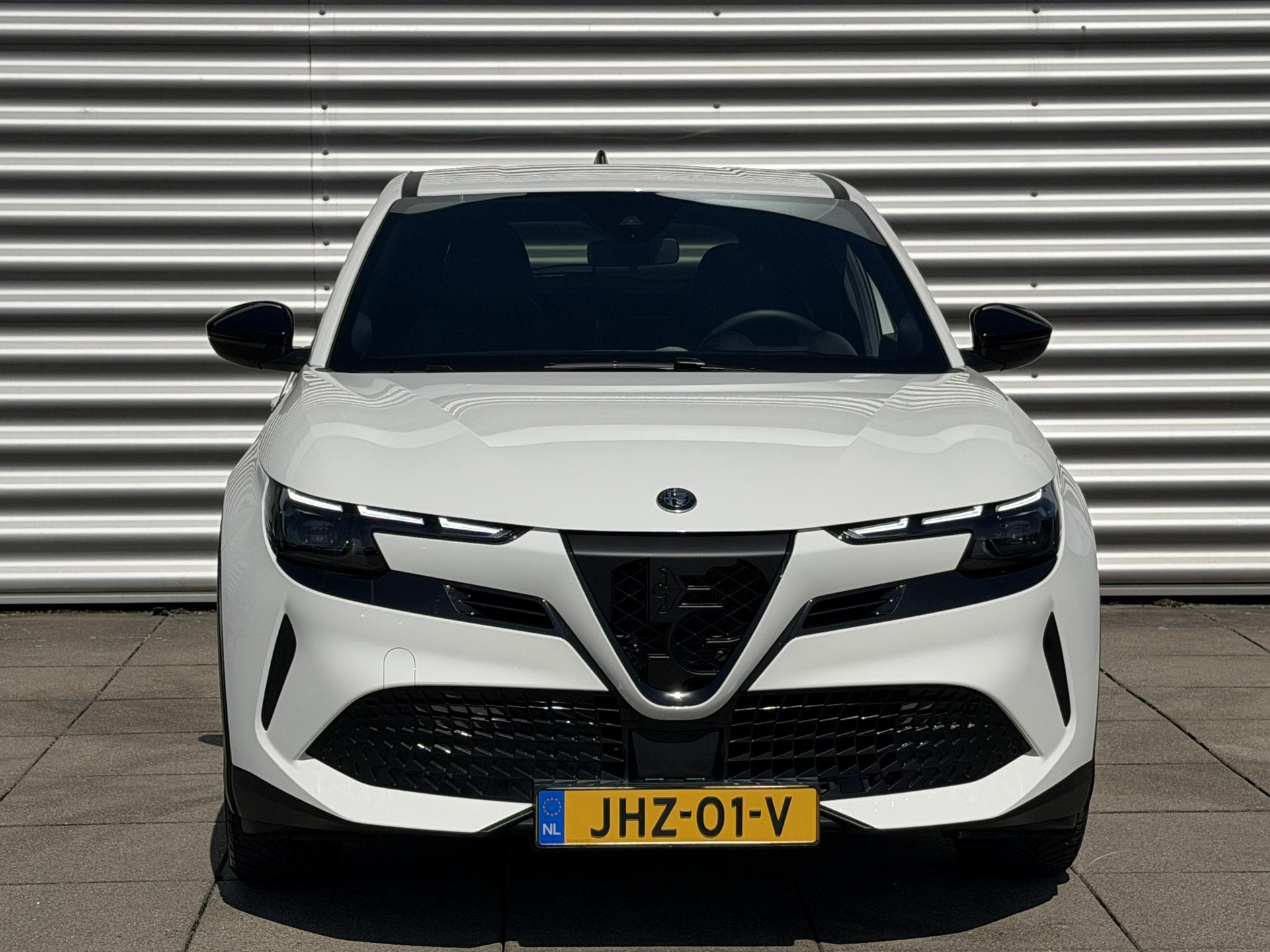 Alfa Romeo Junior