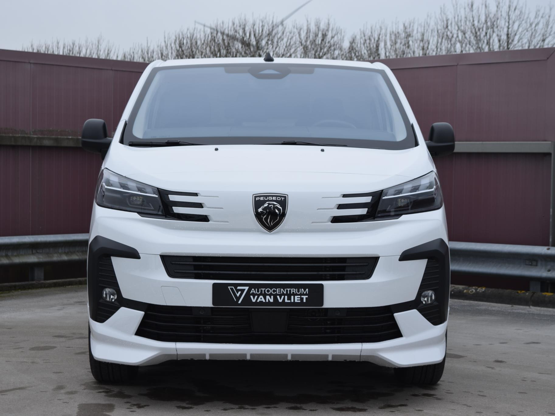 Peugeot e-Expert