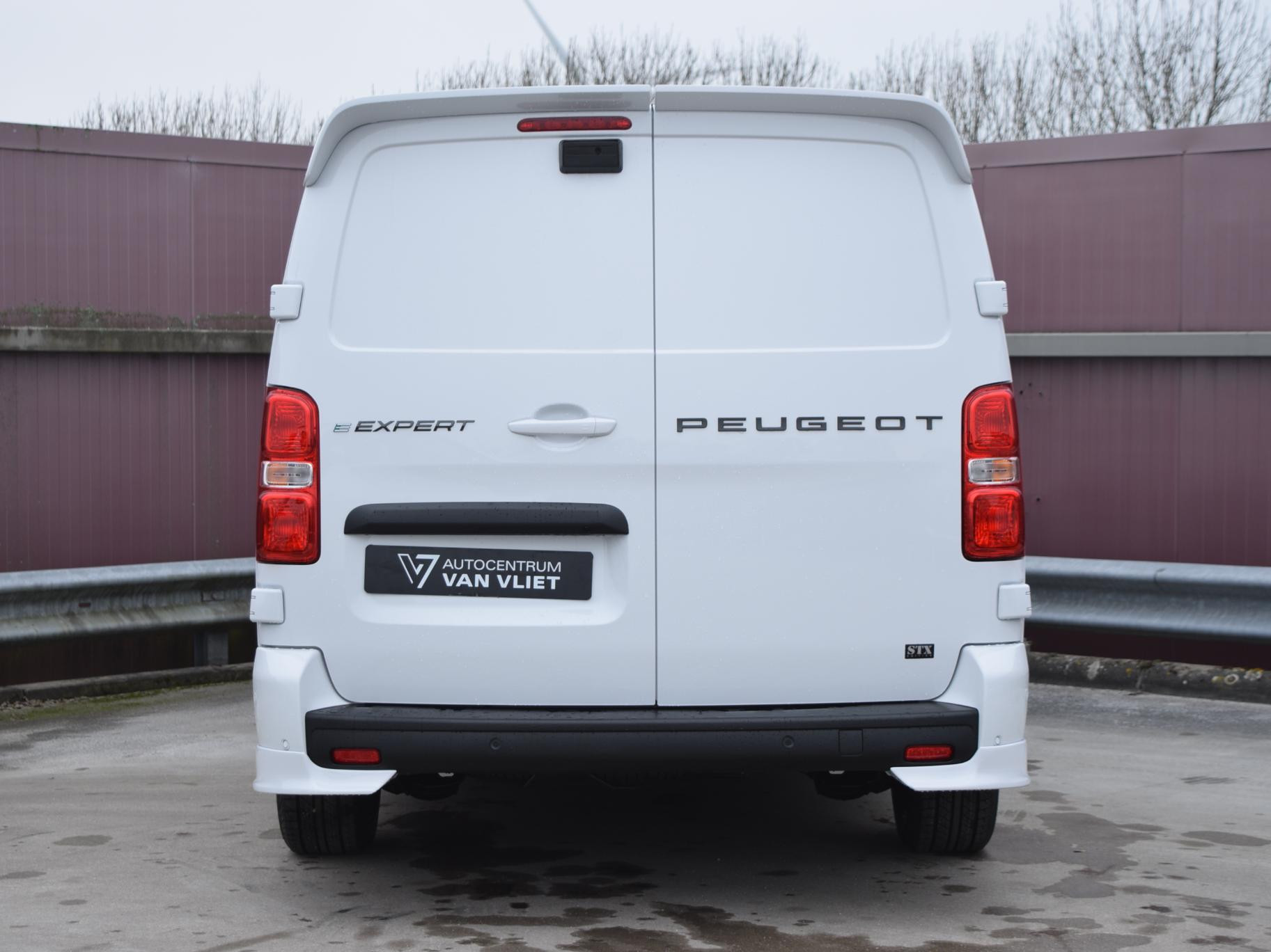 Peugeot e-Expert