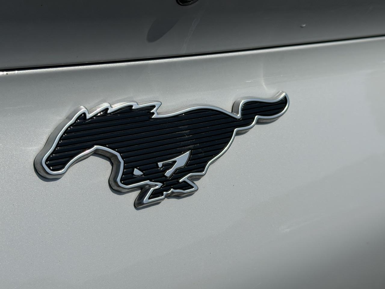 Ford Mustang Mach-E