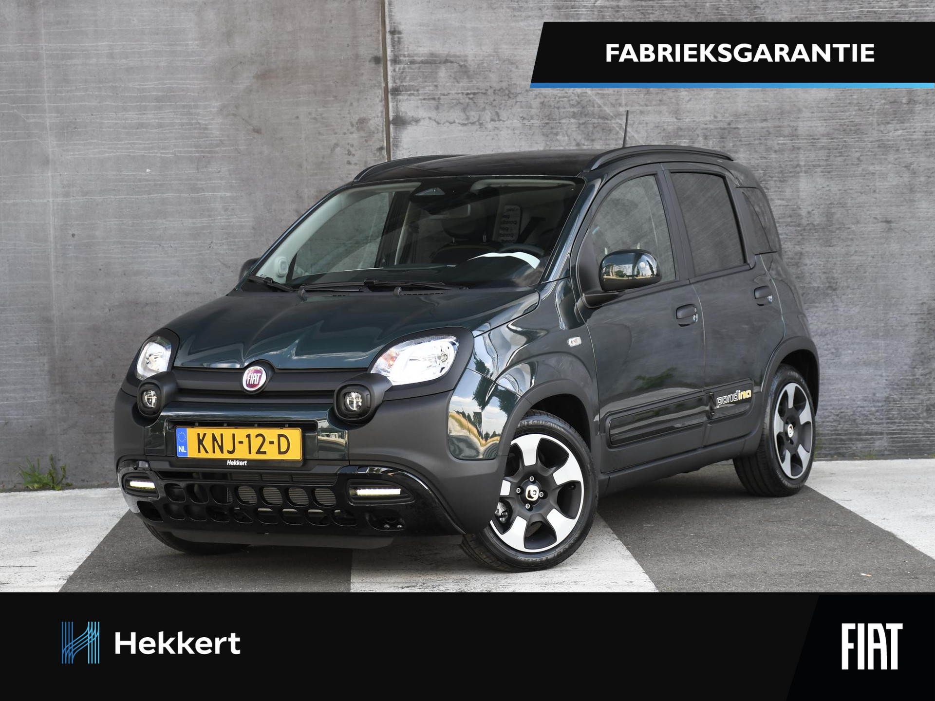 Fiat Pandina