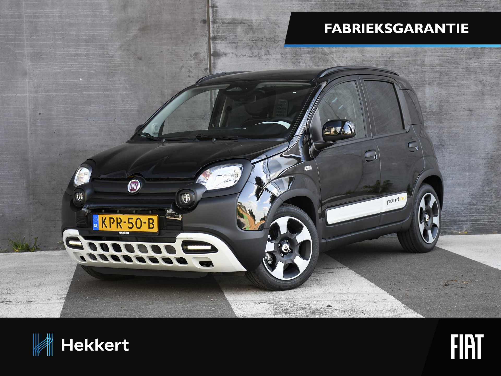 Fiat Pandina