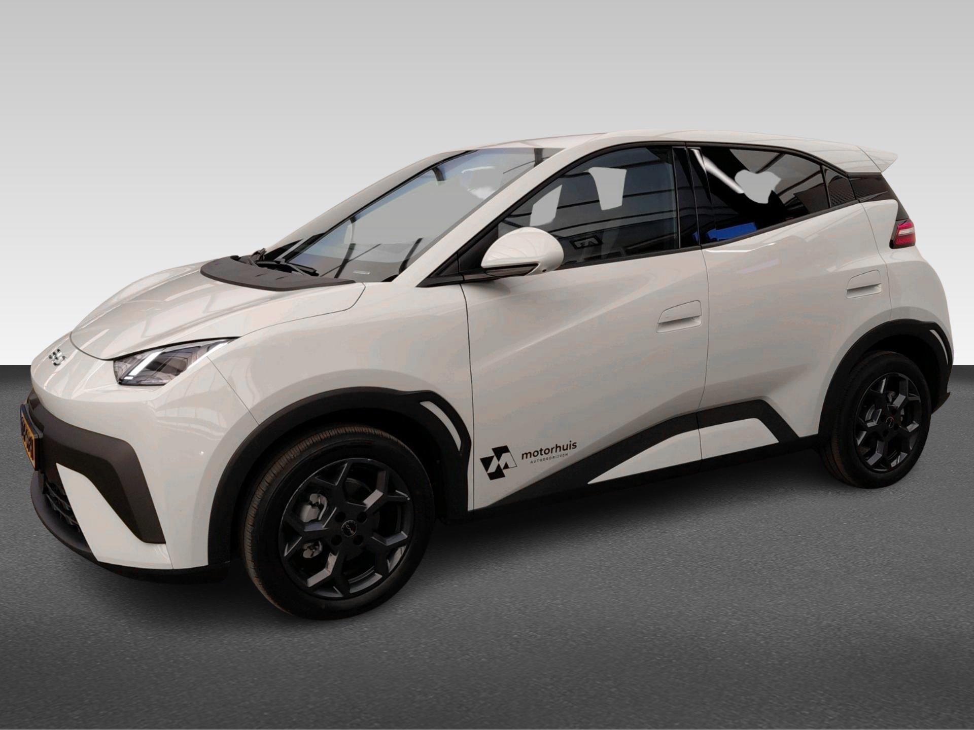 BYD Dolphin